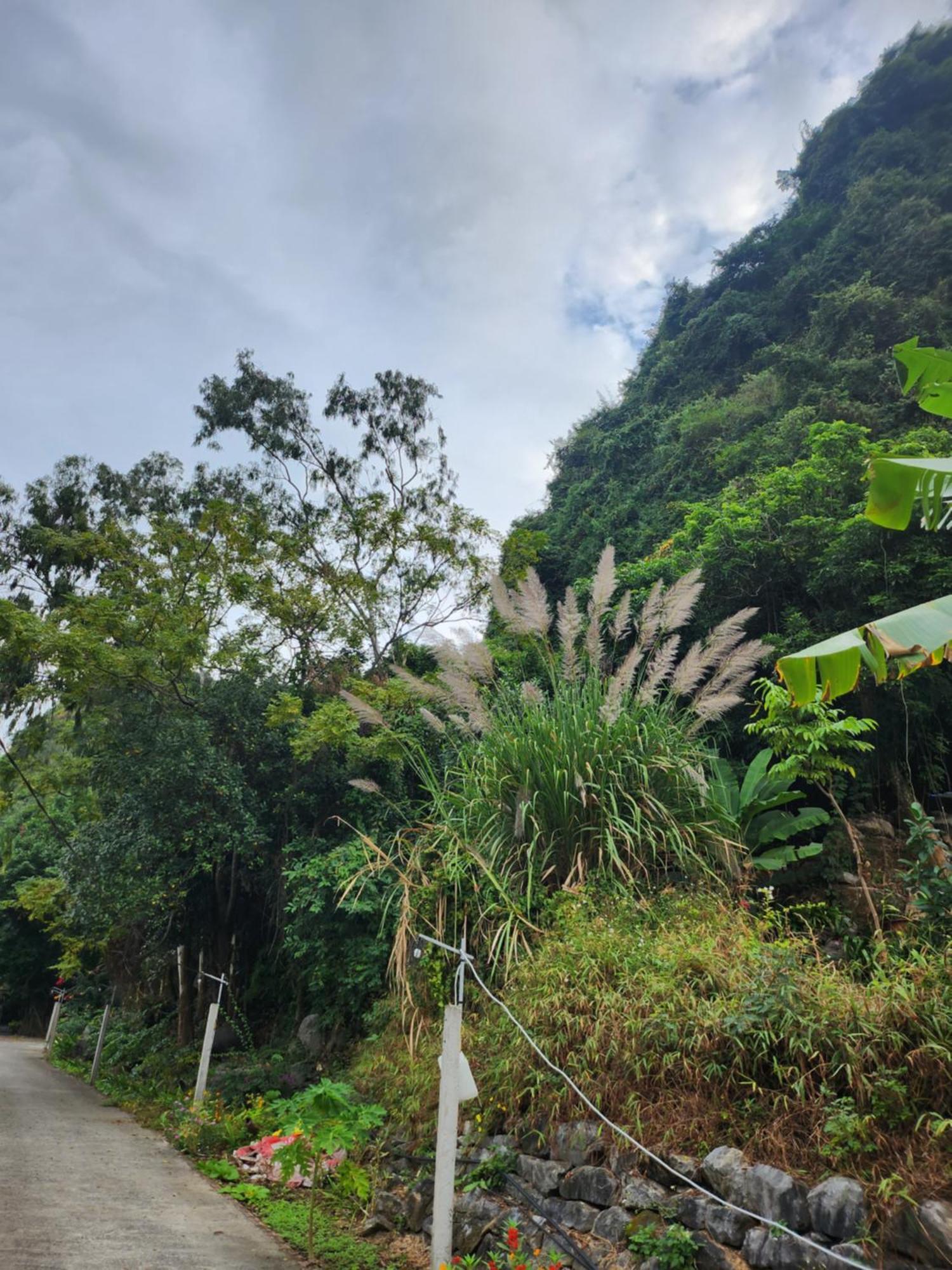 2Stones Cat Ba Homestay Chan Chau Luaran gambar